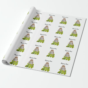 Papier Cadeau Aquarelle Saw Whet Cute Little Owls