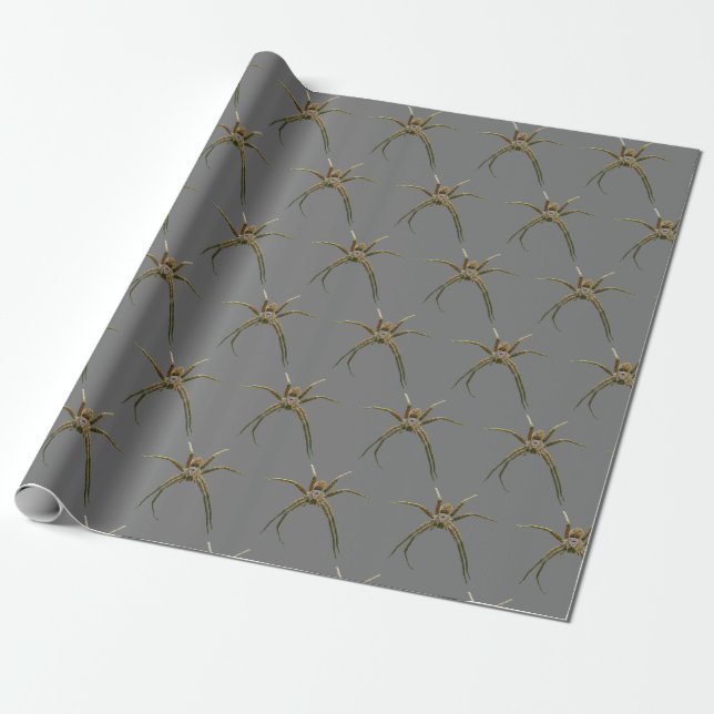 Papier Cadeau Araignée (Déroulé)