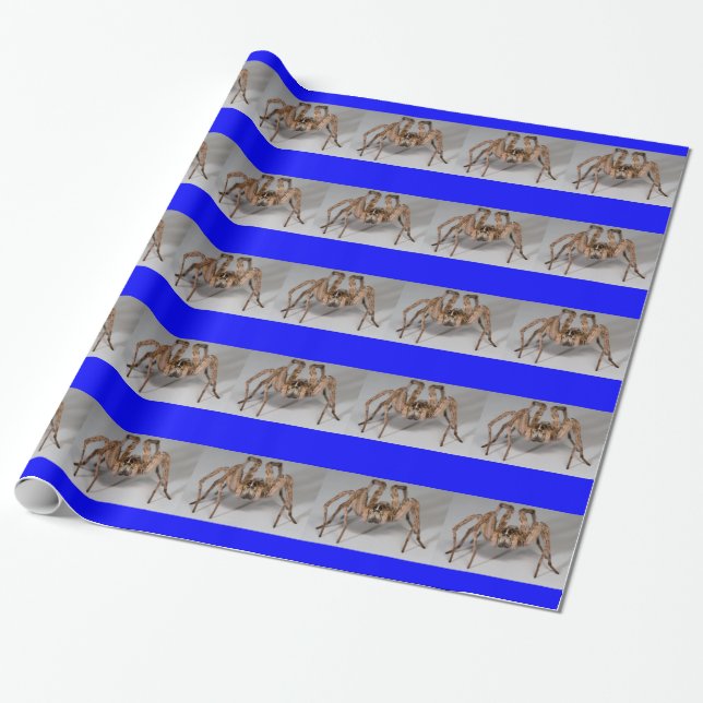 Papier Cadeau Araignée de loup (Déroulé)