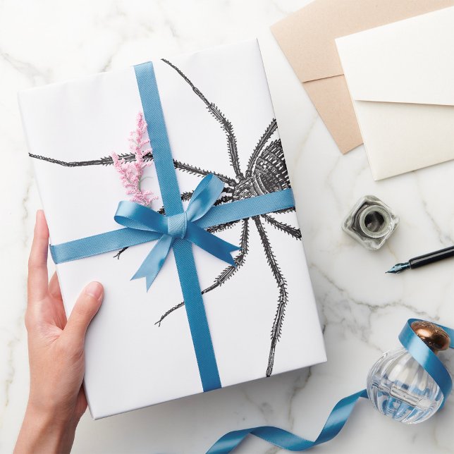 Papier Cadeau Araignée longue jambe (Créateur téléchargé)