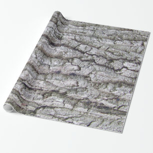Papier Cadeau Arbre 5 - Écorce de chêne