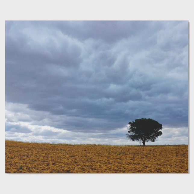 Papier Cadeau Arbre dans un champ vide (Plat)
