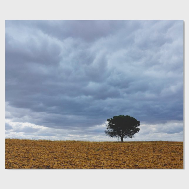 Papier Cadeau Arbre dans un champ vide (Plat)