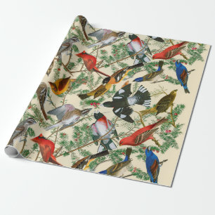 Papier Cadeau "Arbre de giftwrap de gros-bec" (oiseaux)