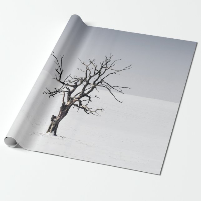 PAPIER CADEAU ARBRE NÉ AU MILIEU DE LA NEIGE (Déroulé)