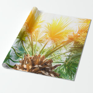 Papier Cadeau Arbre palmier soleil brillant arrière - plan d'été