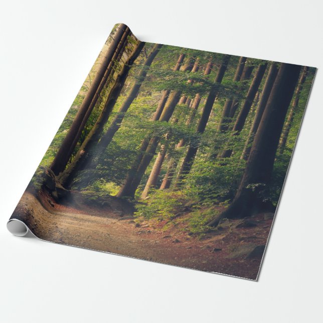 PAPIER CADEAU ARBRES FORESTIERS (Déroulé)