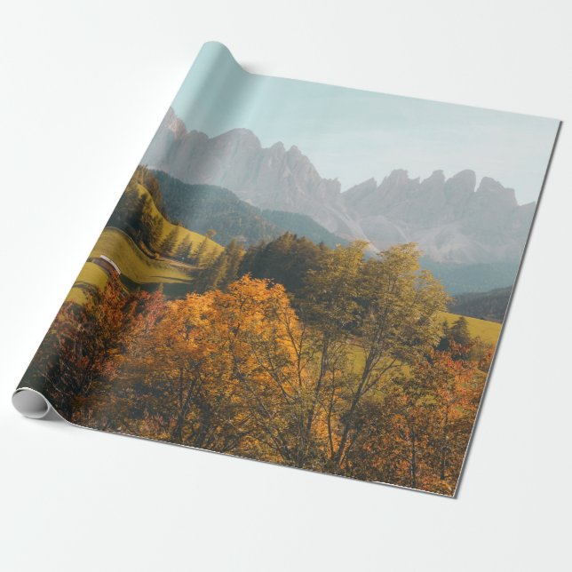 PAPIER CADEAU ARBRES VERTS ET CHAMP DE GRASS (Déroulé)