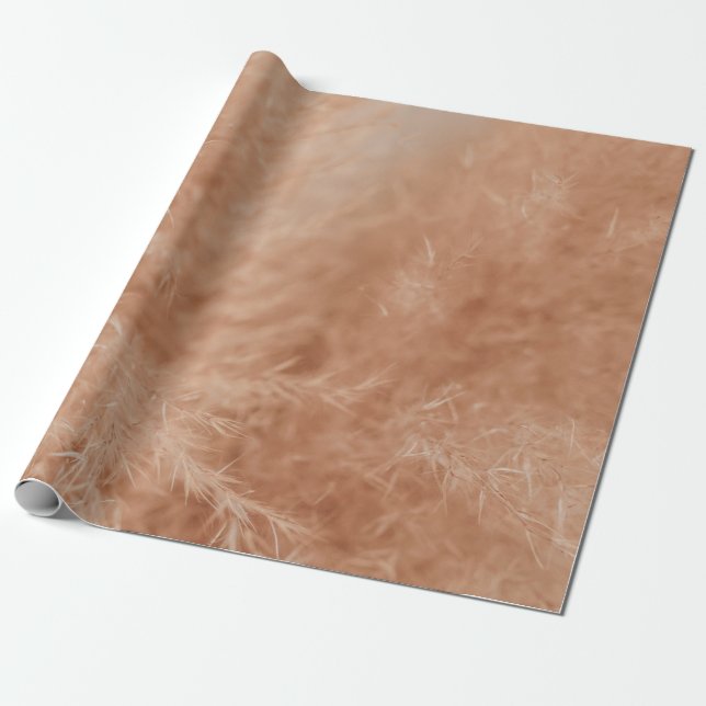 Papier Cadeau Arrière - plan Brown (Déroulé)