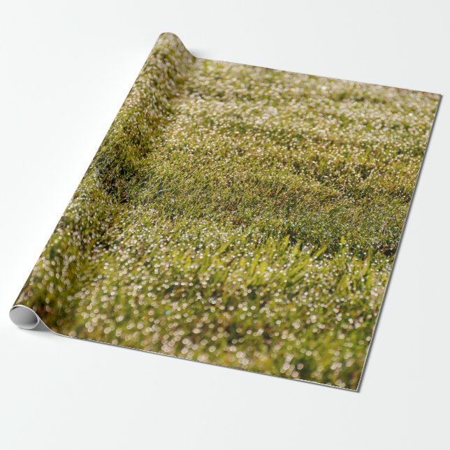 Papier Cadeau Arrière - plan d'herbe fraîche vert printemps, ave (Déroulé)