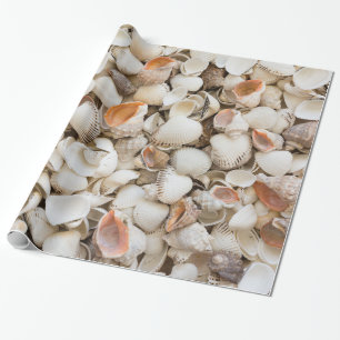Papier Cadeau Arrière - plan original de style de coquillage de