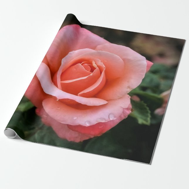 Papier Cadeau Art botanique romantique Rose Imprimer (Déroulé)