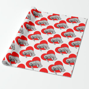 Papier Cadeau art de lamantin