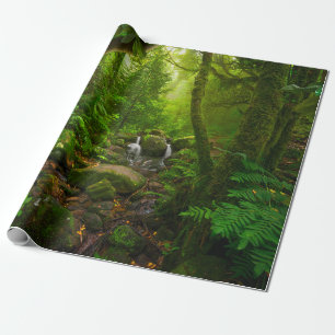 Papier Cadeau Asiatique tropicale jungle forestière, forêt, envi