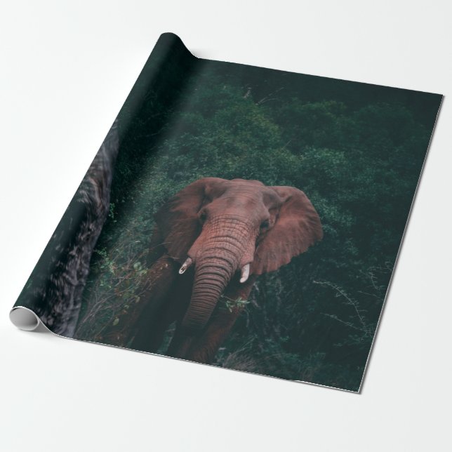 PAPIER CADEAU ASSEZ ÉLÉPHANT (Déroulé)