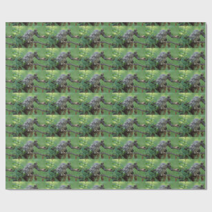 Papier Cadeau Athene noponctua