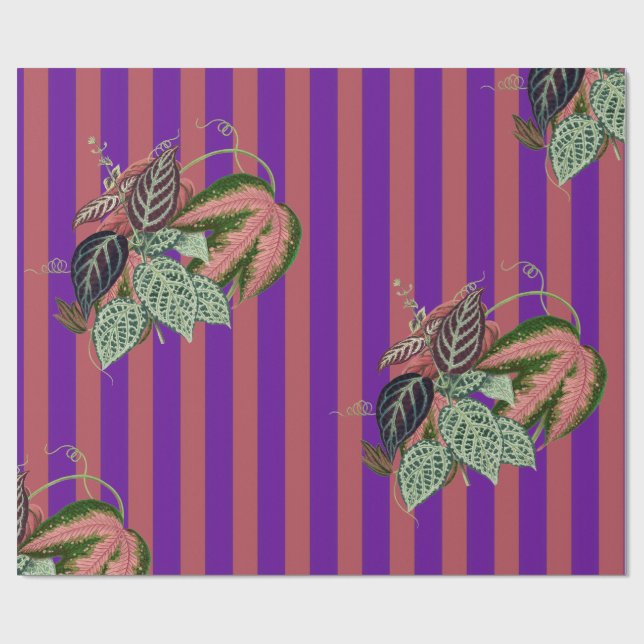 Papier Cadeau Aubergine (Plat)