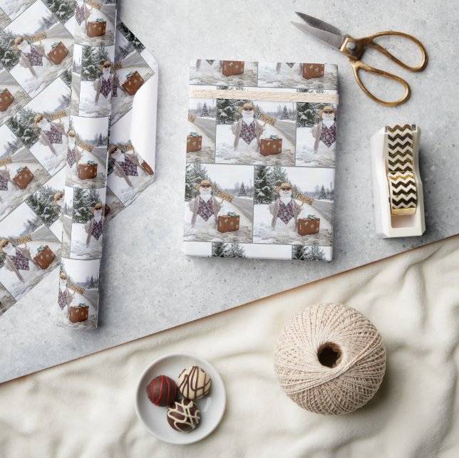 Papier Cadeau Auto-stoppeuse en neige avec panneau de Floride (Artisanat)