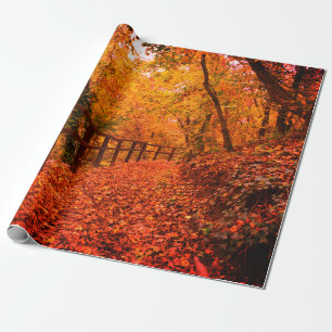 Papier Cadeau Automne Automne Moderne Enveloppement Cadeau Feuil