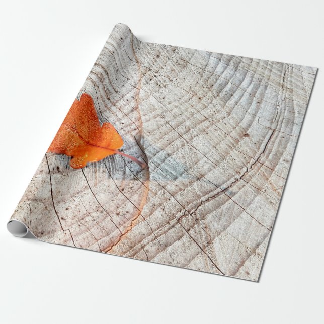 Papier Cadeau automne feuilles de chêne (Déroulé)