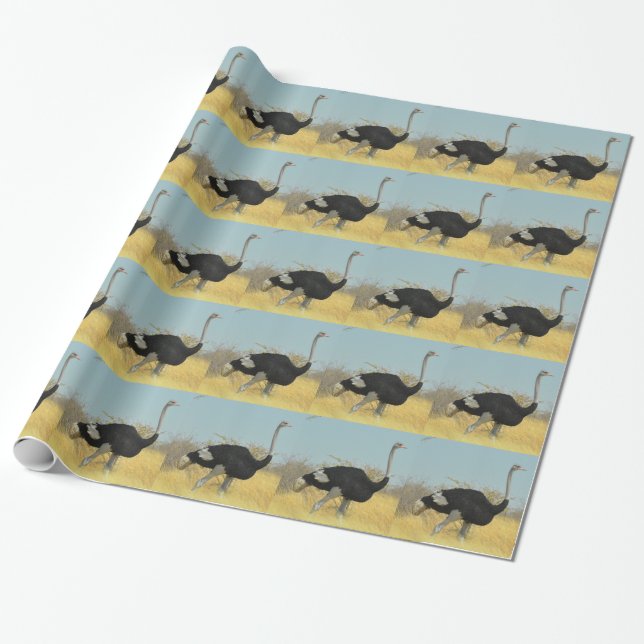 Papier Cadeau Autruche en course (Déroulé)