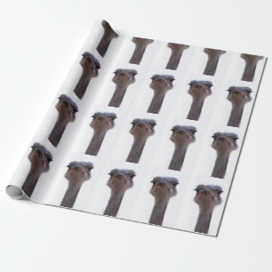 Papier Cadeau Autruche Oiseau
