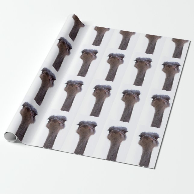 Papier Cadeau Autruche Oiseau (Déroulé)