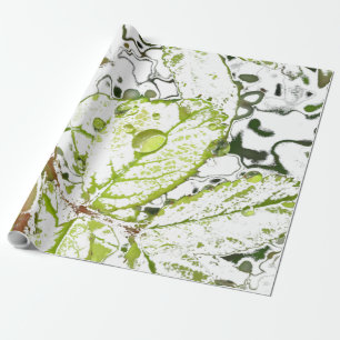 Papier Cadeau Baisse de rosée
