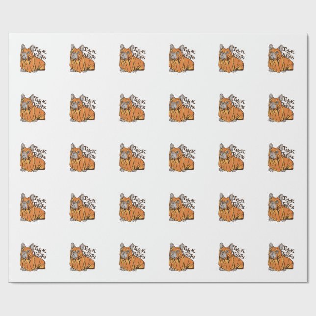 Papier Cadeau Balais d'Halloween (Plat)