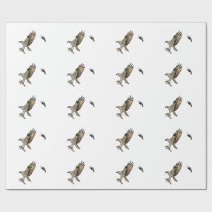 Papier Cadeau Balbuzard chassé par un merle à ailes rouges