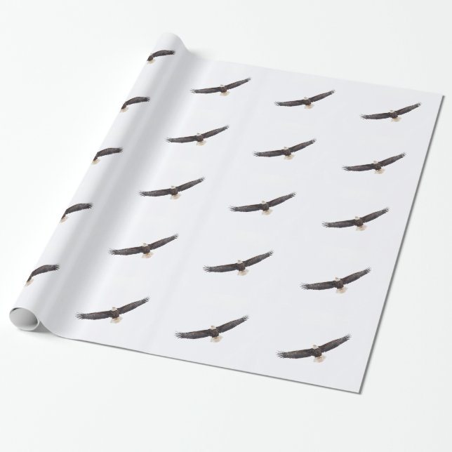 Papier Cadeau Bald Eagle en vol (Déroulé)