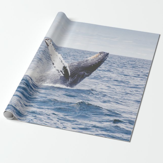 Papier Cadeau Baleine Géante Saute De L'Océan  (Déroulé)