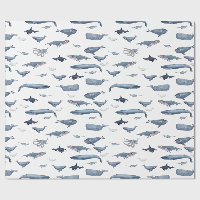 Papier Cadeau Baleines (Plat)
