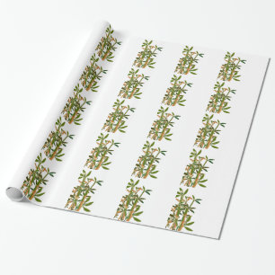 Papier Cadeau Bambou vert isolé sur arrière - plan blanc