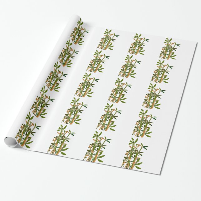 Papier Cadeau Bambou vert isolé sur arrière - plan blanc (Déroulé)