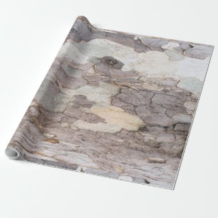 Papier Cadeau Bark of plane tree