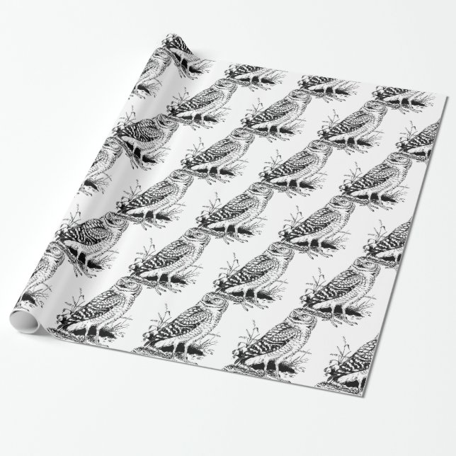 Papier Cadeau Barne Owl Thunder_Cove (Déroulé)