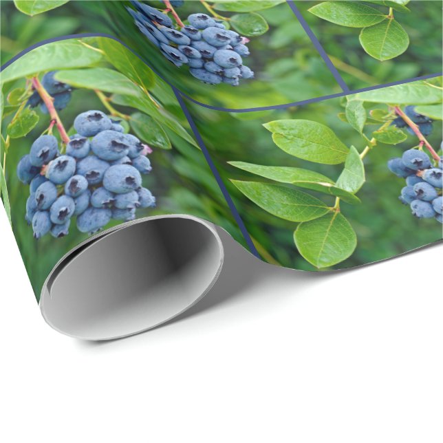 Papier Cadeau Bassin de bleuets sur branche (Coin rond)