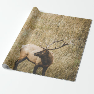 PAPIER CADEAU BEAU CERF D'ELK