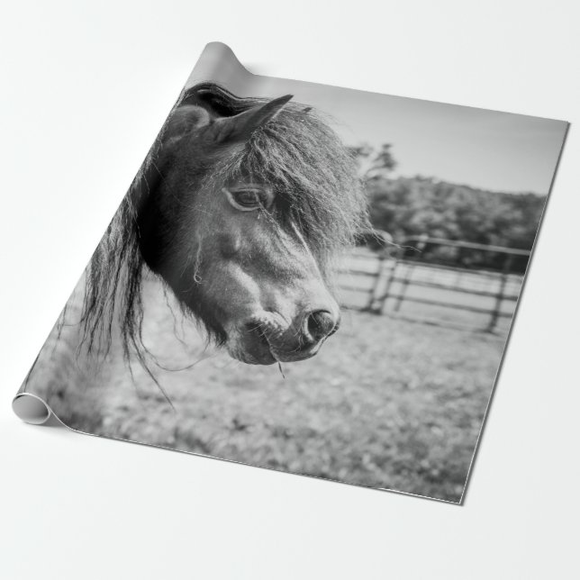 PAPIER CADEAU BEAU CHEVAL (Déroulé)