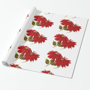 Papier Cadeau Beau dessin rouge de poinsettia