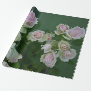 Papier Cadeau Beau jardin rose clair roses