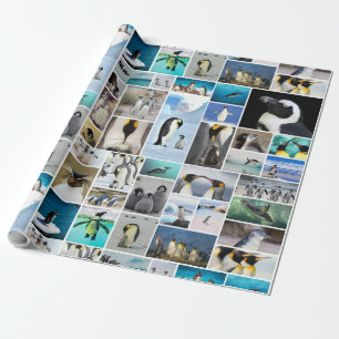 Papier Cadeau Beau Motif de photos de pingouins