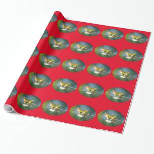 Papier Cadeau Beau Motmot Bird sur Branche