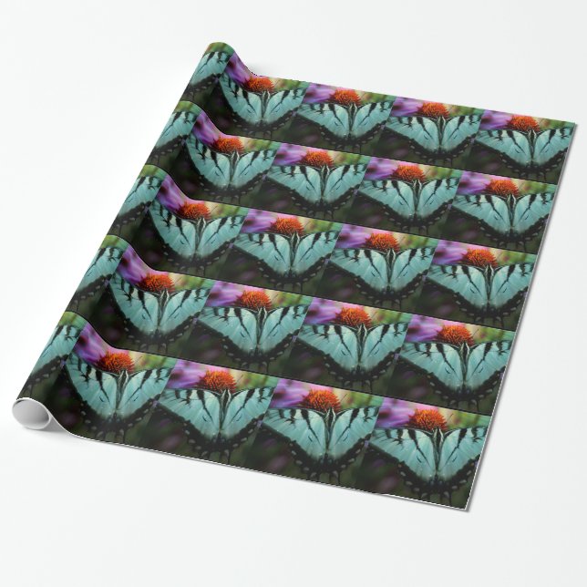 Papier Cadeau Beau papillon Turquoise Swallowtail (Déroulé)
