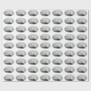 Papier Cadeau Beau Peacock Blanc