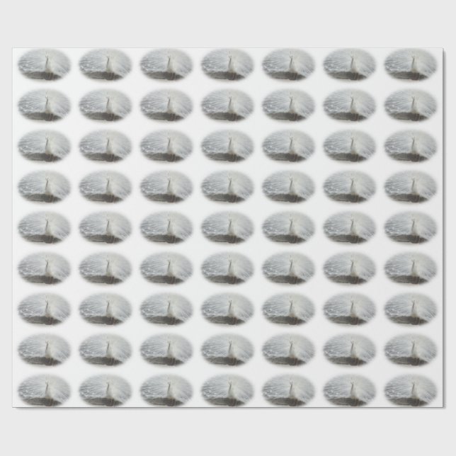 Papier Cadeau Beau Peacock Blanc (Plat)