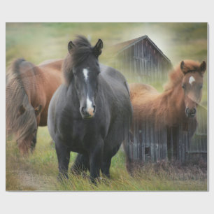 Papier Cadeau Beaux chevaux et grange rustique