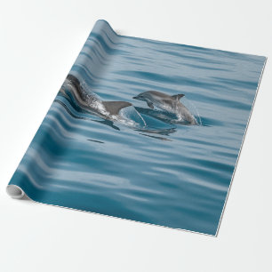 Papier Cadeau Beaux dauphins aquatiques