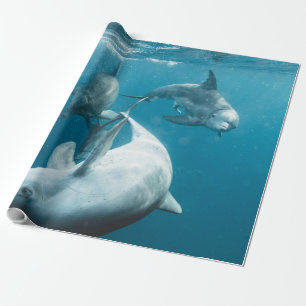 Papier Cadeau Beaux dauphins mignons